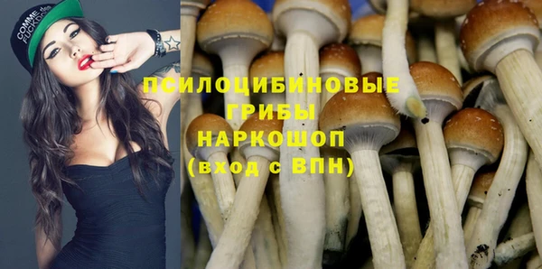 каннабис Арсеньев