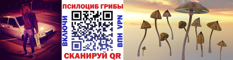 сайты даркнета официальный сайт  Жигулёвск  Галлюциногенные грибы Psilocybine cubensis  hydra зеркало 
