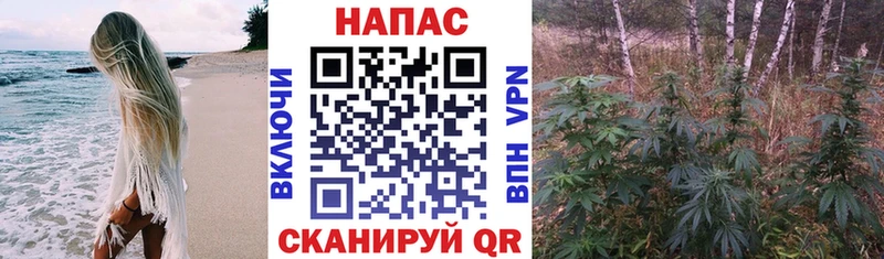 Канабис гибрид Жигулёвск